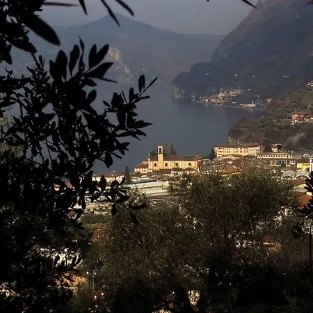 Magic On The - Panoramic * Marone