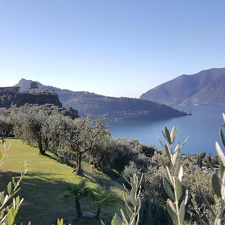 Magic On The - Panoramic * Marone